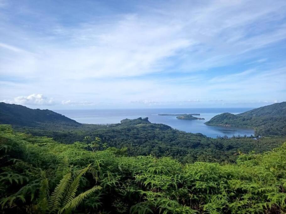 Studio Bord De Mer Fare Tahitea Pension Taputapuapea Экстерьер фото